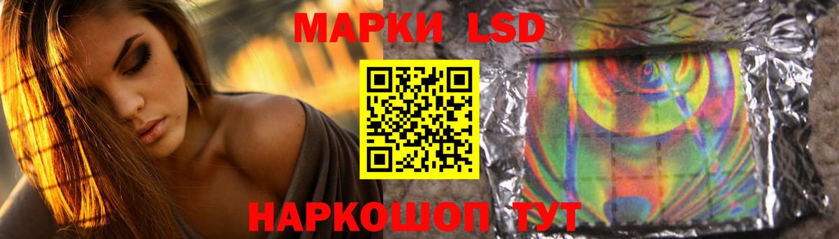 МЕФ Лобня